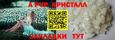 стафф Моздок